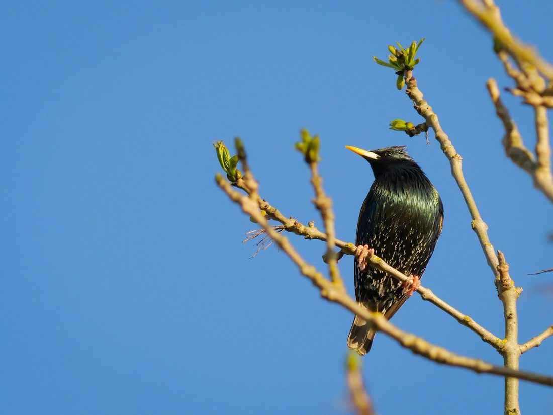 Photograph by Ruth Hutton