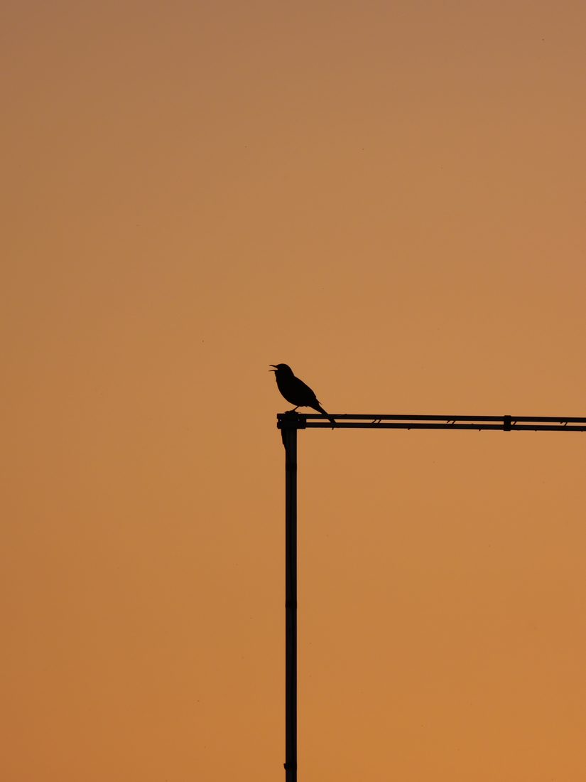 Photograph by Ruth Hutton